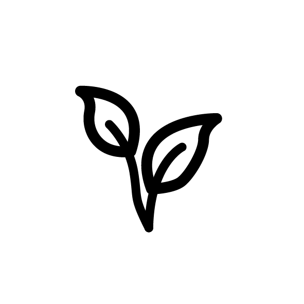 Naturfasern (Pflanzlich) 