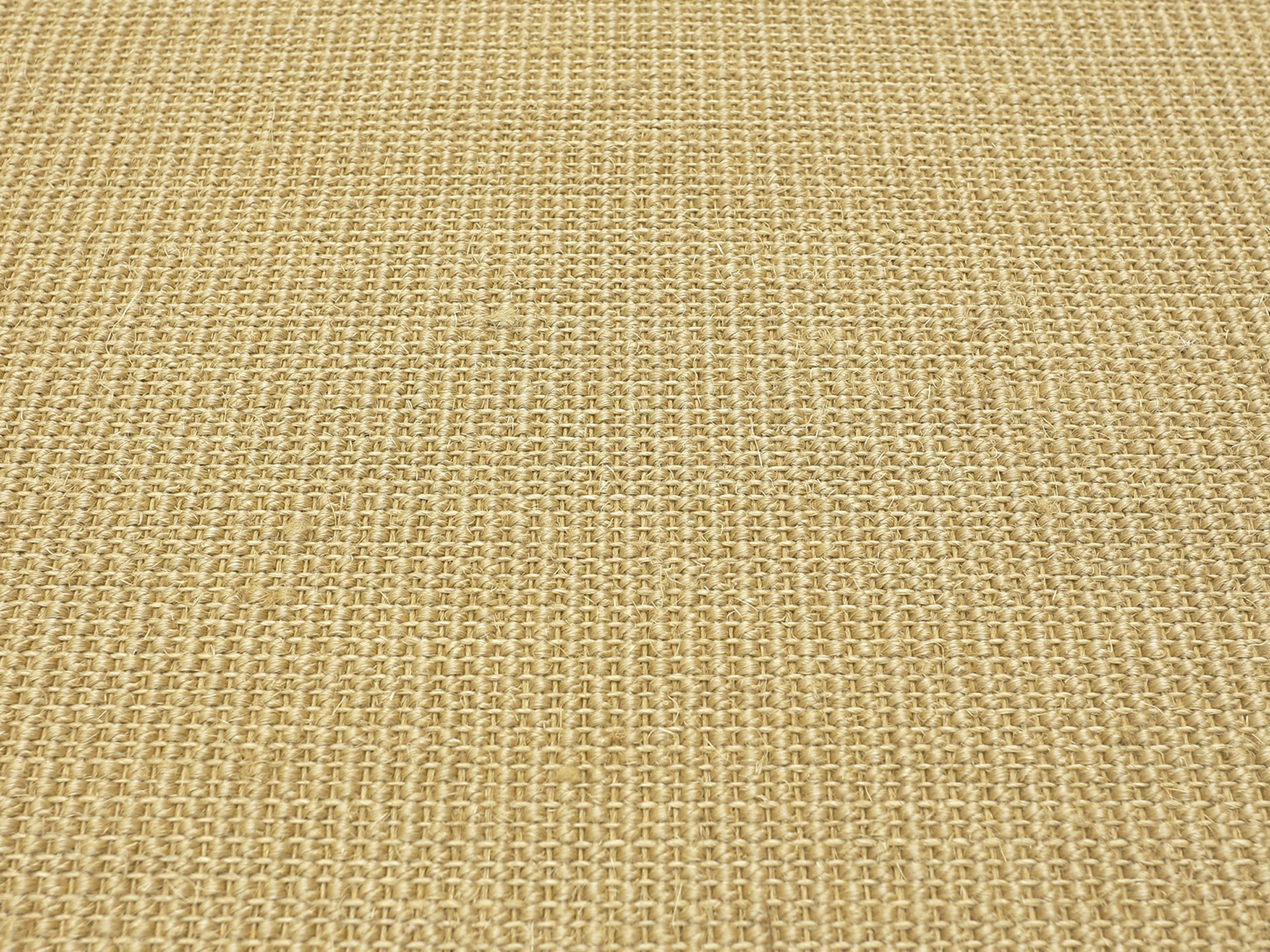 Ruxedo-Avila-Sisal-Borduerenteppich-sesame-02-beigeB_bord