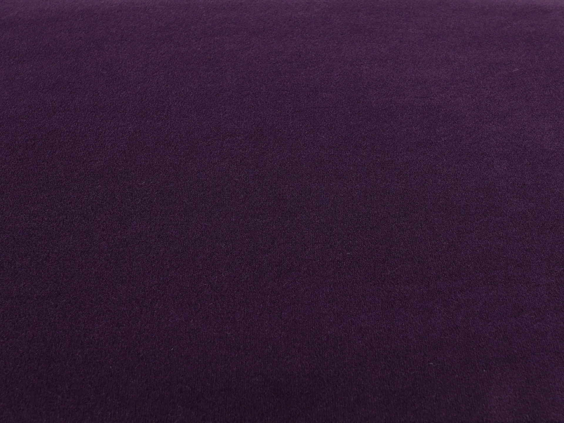 violet / purple 